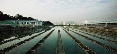 兩會聲音：城市“新洼地”之痛 如何補齊城市地下管網(wǎng)短板？